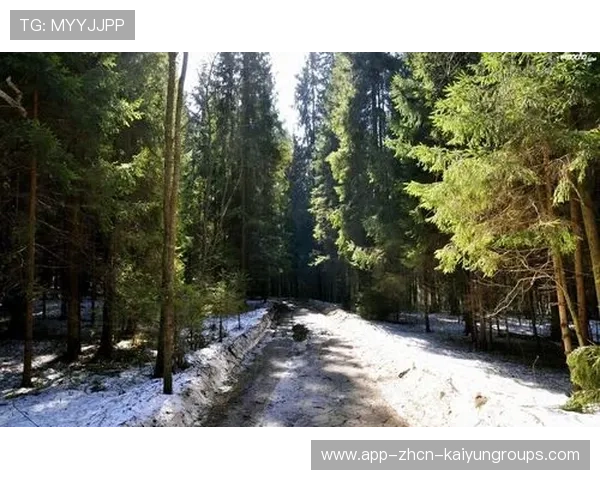 ¦-Ë¾¤½+ÏËª-°ËÐÁ¸+®ú¦¦+++¦«